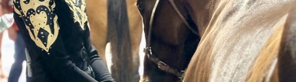 Midcoast Mainer leading horse