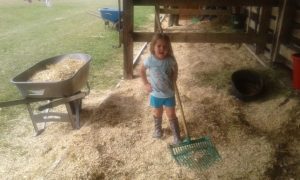 young 4-Hers cleaning stall