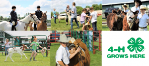 collage of 4h members showing their animals at the fair