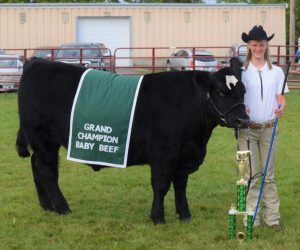female 4H member with her grand champion steer