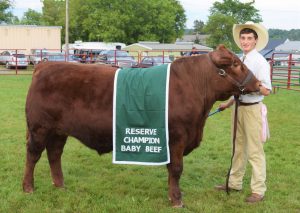 male 4H member with the grand reserve champion steer