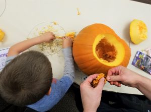 Overhead photo of pumpkin seeds being counted
