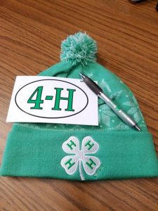 4h hat, sticker and pen