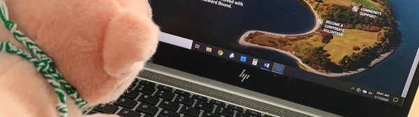 Percy Stem Piglet looking at computer screen
