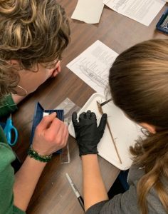 Helping student with worm dissection.
