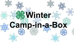 snowflakes winter camp in a box