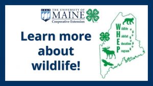 learn more about wildlife text and map of maine logo
