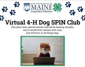 dog with glasses in front of a computer announcing Virtual 4-H Dog SPIN Class