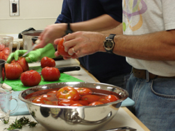 picture of hands preparing tomatoes for processing