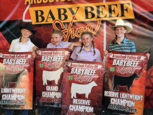 four baby beef club members with banners stating what they placed