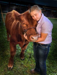 a girl and her steer