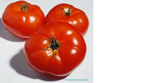 three red tomatoes