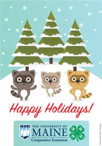 graphic with 3 racoons and 3 evergreen trees with snow on them