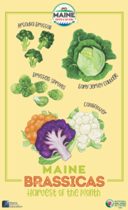 picture of broccoli, cauliflower and other brassicas