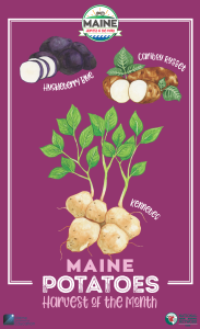 potatoes maine harvest of the month poster with pictures of different potatoes