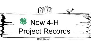Sign new 4-H project records