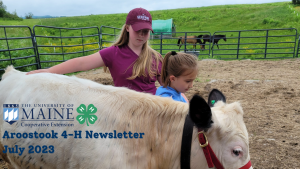 two 4-H youth leading a baby beef steer