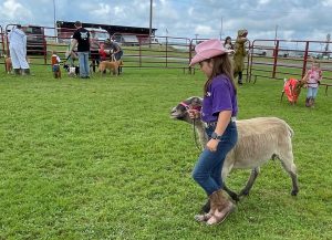 girl in cowboy hat with sheep