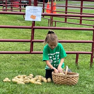 girl picking potatoes and putting in basket obstacle course