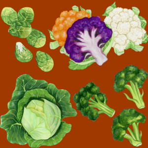 pictures of different brassicas