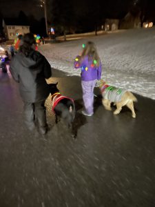 two youth with dogs in costume for light parade