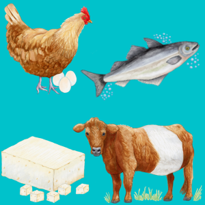 graphic of a chicken and eggs, fish, cow