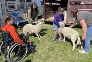 youth learning about showing sheep