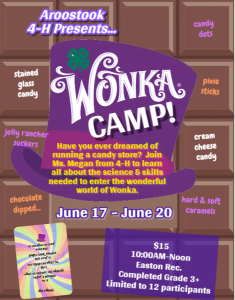 wonka camp advertisement 