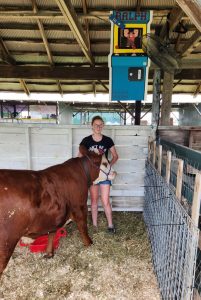 girl and her steer