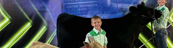 cow and calf at fair with a boy holding the smaller one and girl holding bigger cow