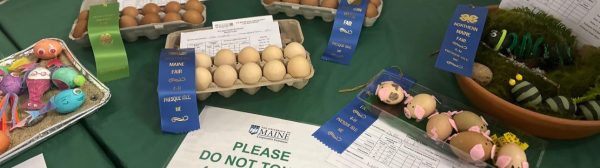 egg display fair