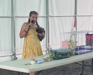 girl with rabbit doing a demonstration