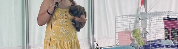 girl with rabbit doing a demonstration