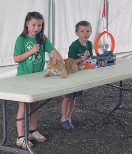 girl and boy showing cat demonstration