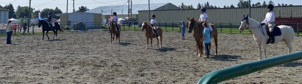 horse show horses and riders