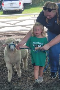 adult assisting a young girl leading a lamb