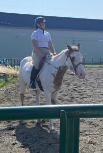 girl riding her horse in horse show