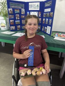 girl riding horse in horse show