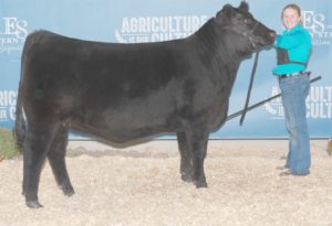 girl with her heifer