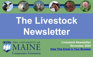 the livestock newsletter header with pictures of various livestock and UMaine Cooperative Extension logo