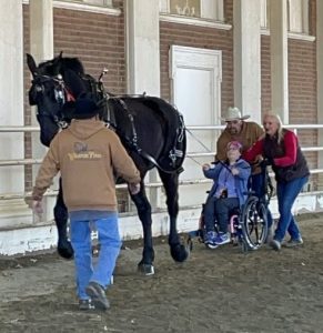 draft horse harnessed to pull, one handler, girl in wheelchair, and 2 others assisting