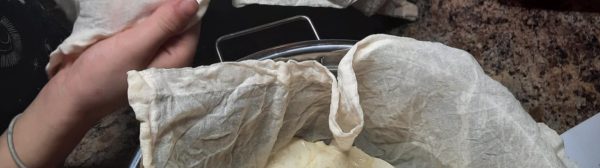 cheese that was just made by 4-H members