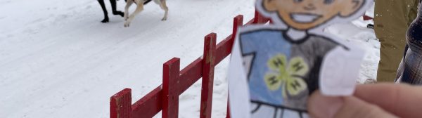 can am dog race with flat harold, a paper drawing of a 4-H boy