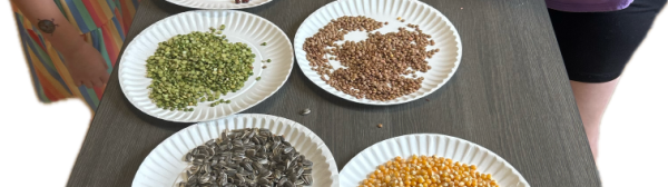 youth crafting with seeds