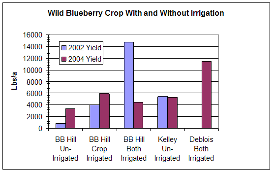 Wild Blueberry crop with and without irrigation bar graph chart