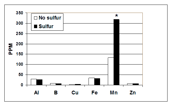 Effects of sulfur treatment on blueberry fruit composition of minor minerals (* significant at 5% level).