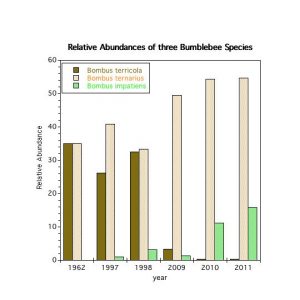 Chart showing relative abundance of three bumblebee species