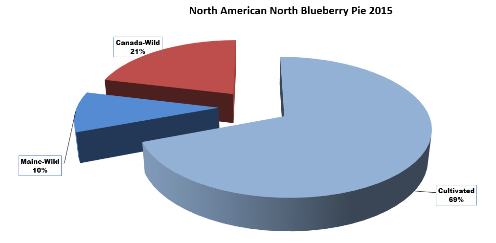 North American North Blueberry Pie Chart for 2015