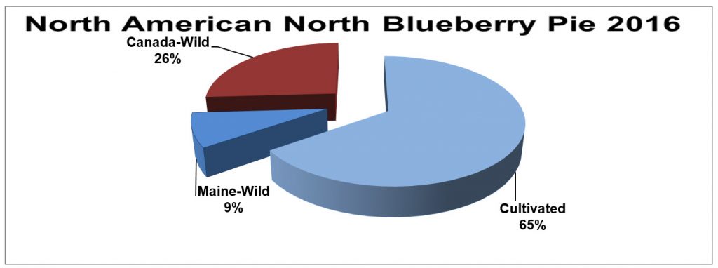 North American Blueberry Pie 2016
