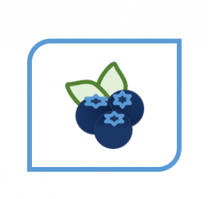 blueberry icon representing the grower page